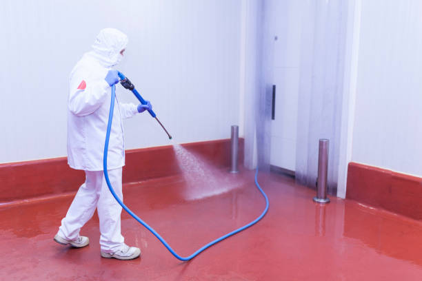 Best Pre-Holiday Cleaning  in Hagerman, ID
